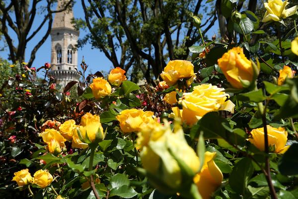 I Giardini del Frontone tornano a fiorire con "Perugia Flower Show"