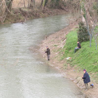 Pesca.  Il 26 febbraio via alla nuova stagione: la Provincia immette oltre 43 quintali di trote Fario 