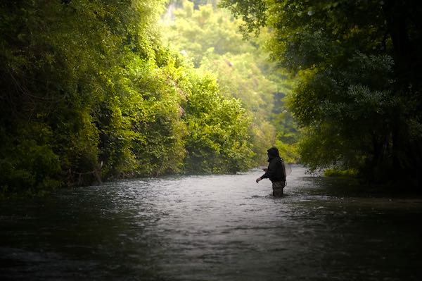 Riapre la pesca nei tratti no kill. Nuove modalità per prenotazioni e permessi