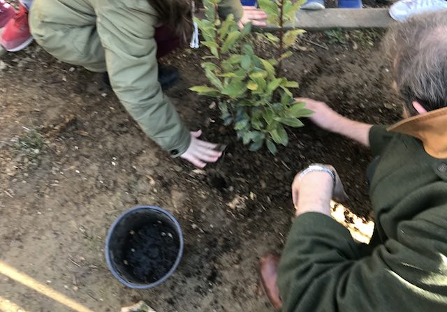 Unicoop Tirreno pianterà un albero per ogni nuovo nuovo socio under 30