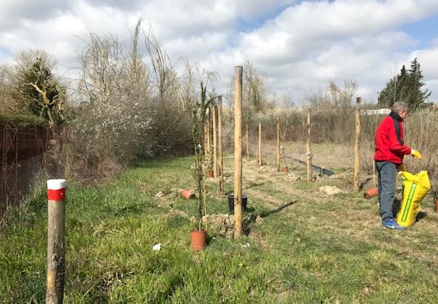 Nuovo ingresso fiorito per il Sentiero Sferracavallo - Rocca Ripesena