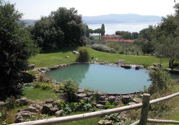 Isola Polvese, cantiere a cielo aperto. Via alla grande opera di riqualificazione