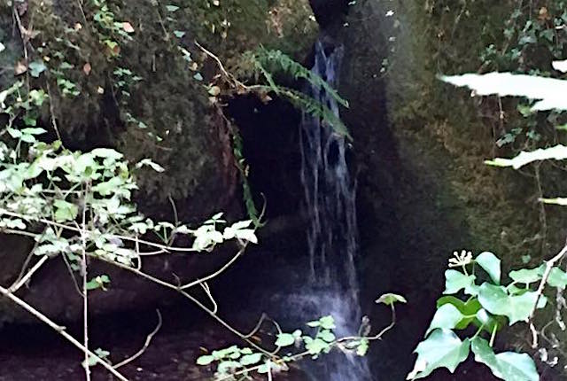 "Poraneggiando" con i "Cavalieri del Torrione", a Bomarzo con "Percorsi Etruschi"