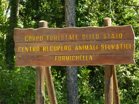 Sul Monte Peglia, il centro di accoglienza più grande d'Italia per gli animali esotici e selvatici sequestrati