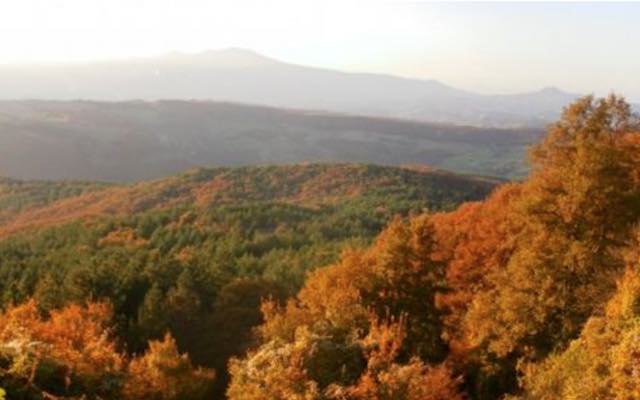 Riserva Naturale Monte Rufeno, un incontro per salutare i primi 35 anni