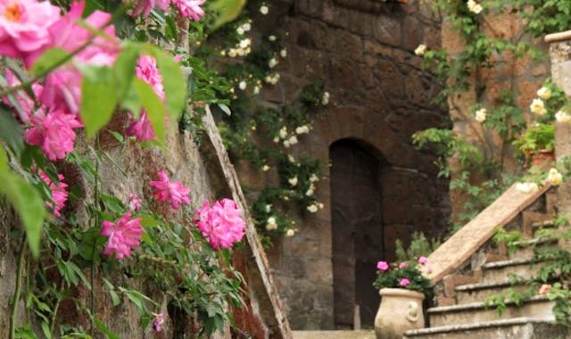 Rocca Ripesena fiorisce d'iniziative. Sboccia "Il Paese delle Rose"