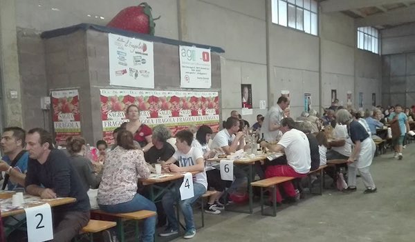 Annullata dopo 46 anni anche la Sagra della Fragola di Marsiliana