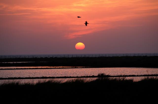 Notte Bianca della Biodiversità alla Riserva Naturale delle Saline