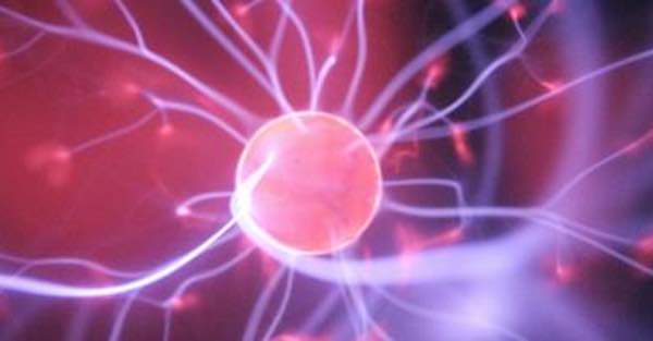 Unitus, al Festival della Scienza Giornata della Sostenibilità e della Bioeconomia