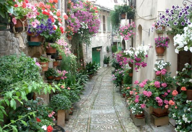 Premio ai "Comuni Fioriti". Anche in Umbria e Lazio "fiorire è accogliere"