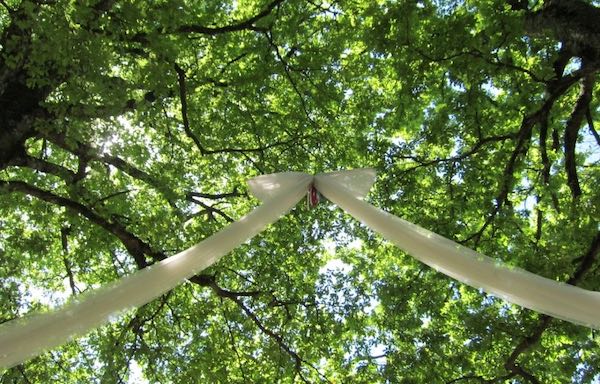 Sposalizio dell'Albero, tra i sentieri del bosco e i meandri dell'anima