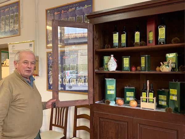 L'oro verde di Monteleone brilla alla terza edizione di "Olio diVino 2019"