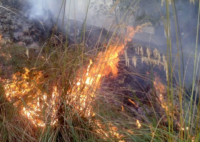 Ordinanza di prevenzione degli incendi boschivi. Fino al 30 ottobre 2010 è vietato bruciare le stoppie