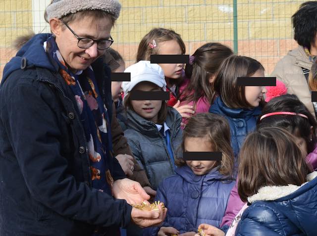 Messo a dimora l'abete di Susanna Tamaro nella scuola di Sferracavallo 