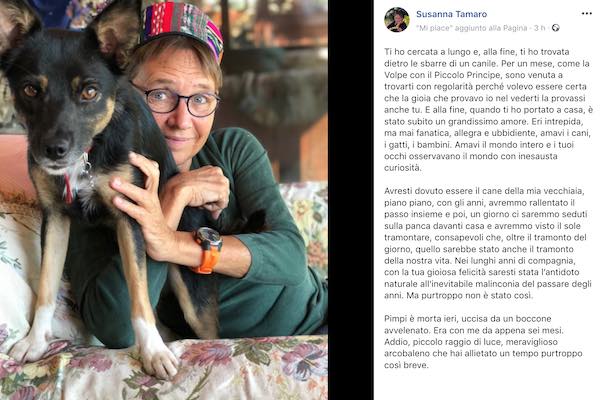 L'addio di Susanna Tamaro a Pimpi, uccisa da una polpetta avvelenata