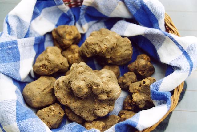"TartuFabroFest 2019", tra degustazioni e incontri con ospiti e artisti