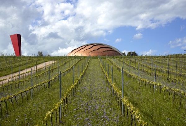 "Cantine d'Autore. Viaggio nell'architettura del vino" al Castello Baglioni