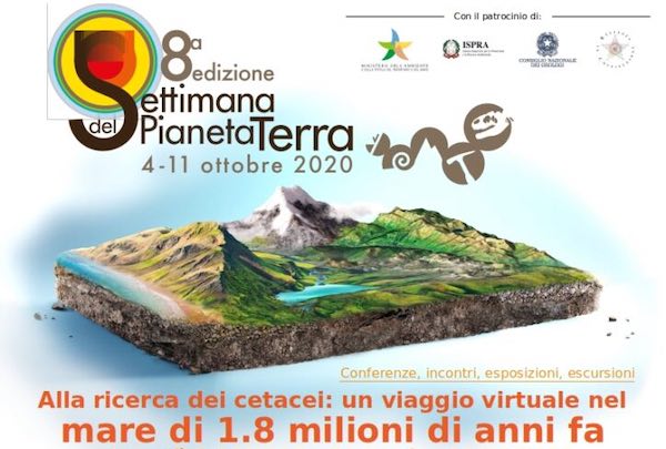 Alla ricerca dei cetacei di Allerona. Un viaggio virtuale nel mare di 1,8 milioni di anni fa