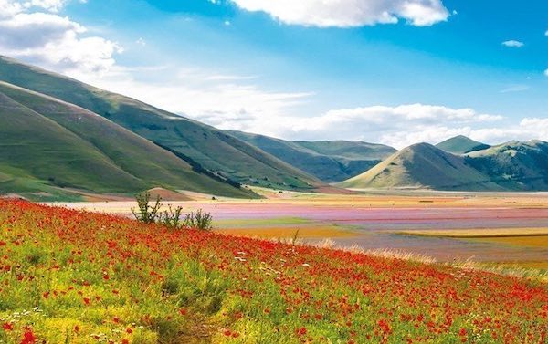 Anticipo di Fiorita a Castelluccio, tappa de "Il Cammino nelle Terre Mutate"