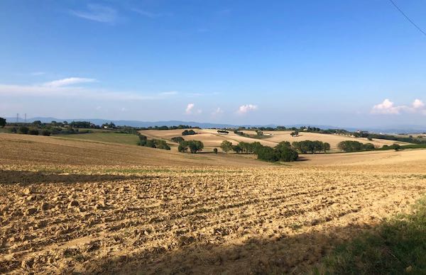 "Camminate con Gusto" all'Azienda Agricola "Bittarelli"