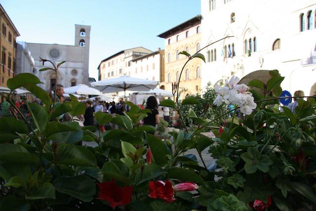 Torna "Todi Fiorita". Colori e profumi invadono pacificamente la città di Jacopone