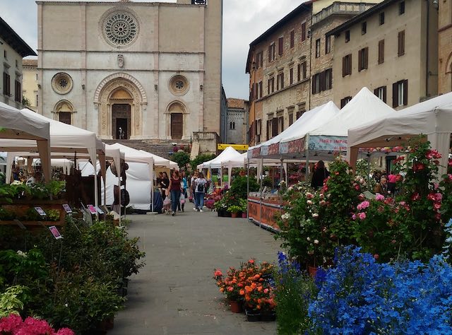 Ikebana, storia e musica per l'ultimo giorno di "Todi Fiorita 2018"