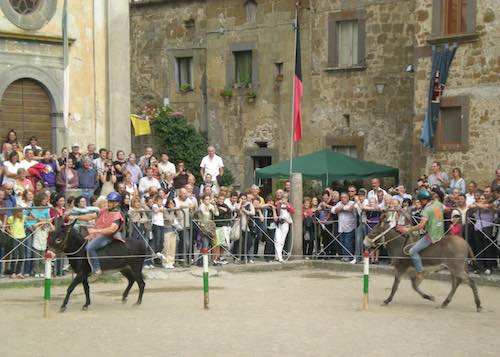 Fine settimana a dorso d'asino. A Civita di Bagnoregio si corre "La Tonna"