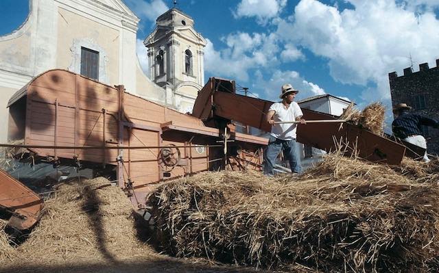 Canti contadini, balli sull'aia e sapori della tradizione per la XIII Festa della Trebbiatura