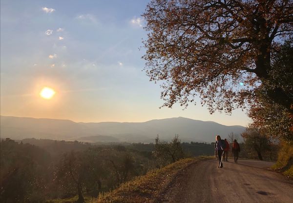 Escursione nei boschi di Vignaie con "L'Olivo e la Ginestra"