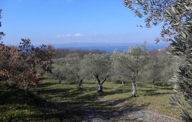 Con il CAI Orvieto neI Parco Archeologico Naturalistico di Turona