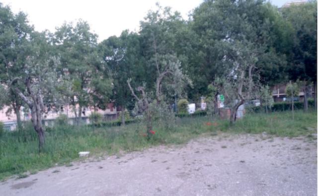 Nuovi fiori alla scuola dell'Infanzia di Ciconia