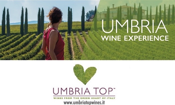 "Umbria Wine Experience". Progetti, azioni e prospettive vanno in tour