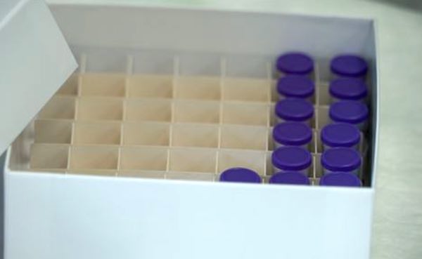 Coronavirus, pronti i risultati dell'Istituto Superiore di Sanità su 77 campioni
