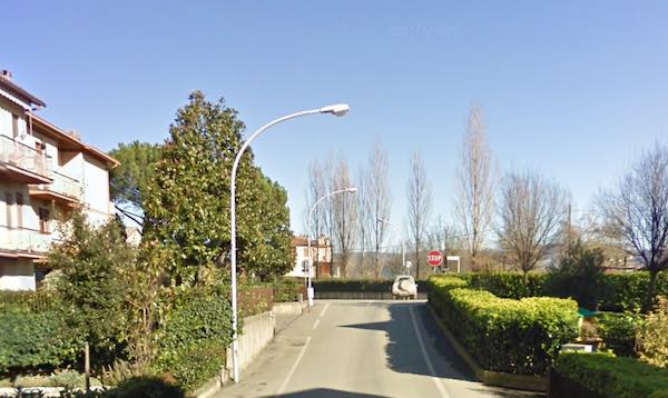 Piante pericolanti in Via Panaro, in atto la discussione sulla proprietà