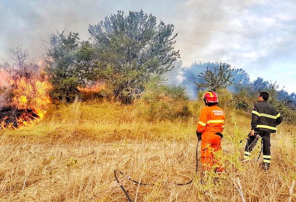 Vasto incendio di sterpaglie nei pressi dell'Area di Servizio