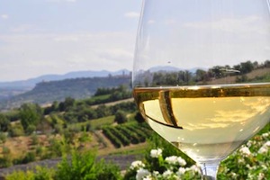 Agricoltura: presentato piano vino, il brand dell'Umbria accanto al brand aziendale