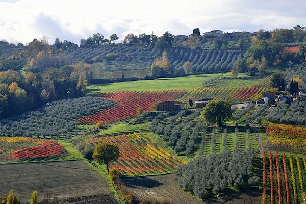 "Passeggiate & Buon Gusto. Borghi, ulivi e fattorie" danno sapore all'esperienza in Umbria