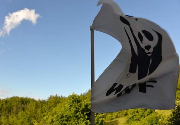 Anche il WWF Umbria contro la monocoltura intensiva dei noccioleti nell'Alfina