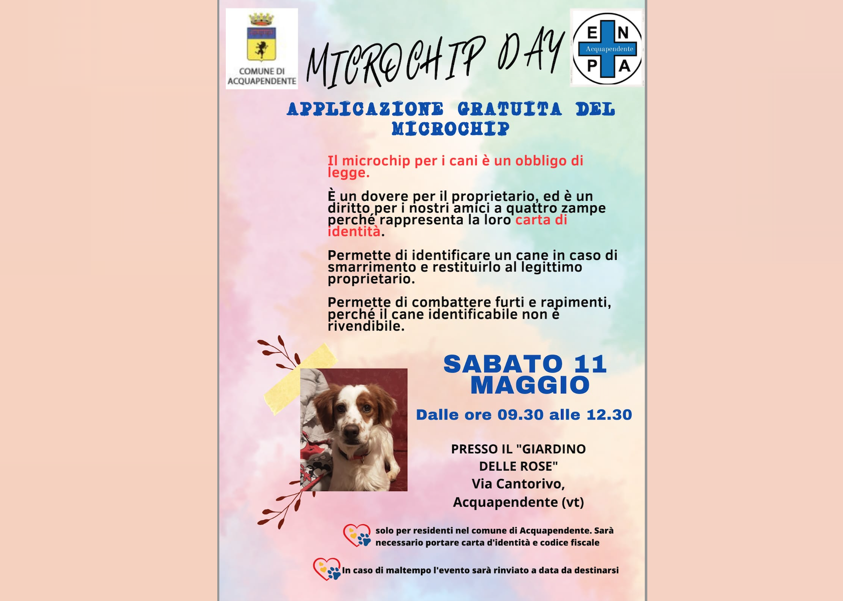 "Microchip Day" al Giardino delle Rose per l'applicazione gratuita del microchip ai cani