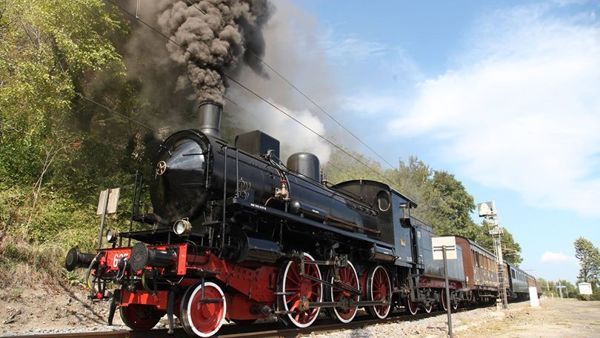 "Treni storici in occasione delle manifestazioni più importanti per valorizzare il turismo ferroviario"
