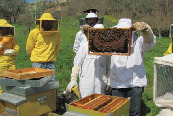 Via al corso di apicoltura biologica "Api & Bio 1/2022"