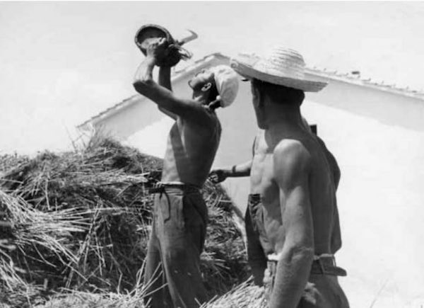 "I volti della riforma", viaggio per immagini nella storia della riforma agraria