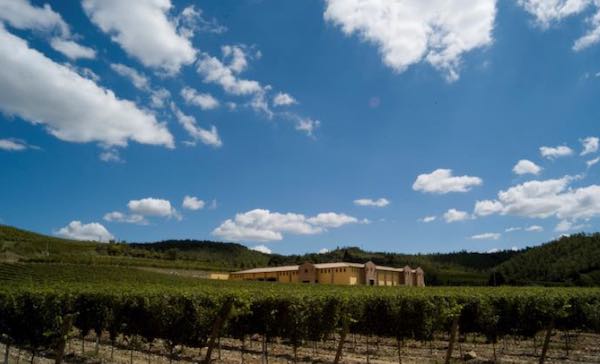 Castel Noha ospita gli ambasciatori del vino. Incoming per nove professionisti