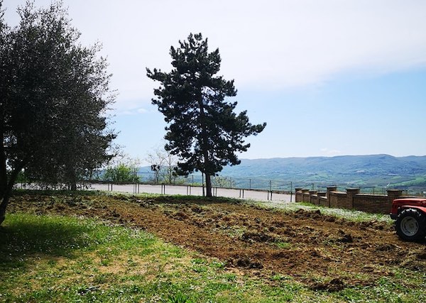 Lavori In Corso Per La Creazione Delle Prime Due Oasi Fiorite Per La 