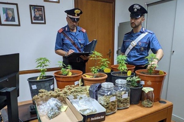 Chiamano i Carabinieri per una lite domestica, ma i militari trovano marijuana, hashish e cannabis