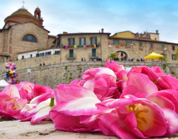 Alla 54esima "Festa del Tulipano" carri allegorici ricoperti di petali e attrazioni folkloristiche 