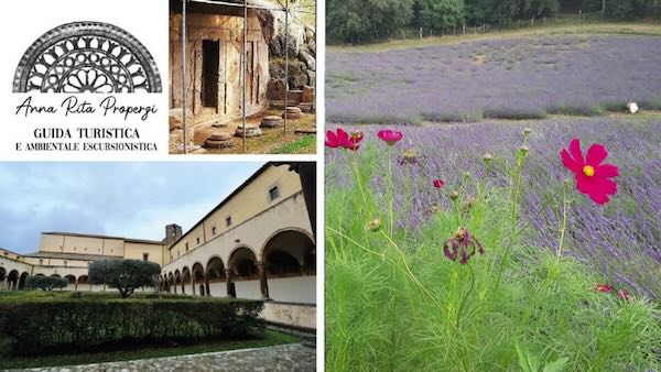 Visita delle necropoli rupestri sul pianoro etrusco fino al tramonto sui campi di lavanda