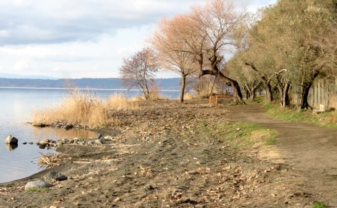 "Lago di Bolsena sei un essere speciale, avremo cura di te"
