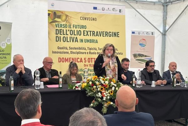 Olio extravergine di oliva, prioritario incentivare la filiera puntando su qualità e turismo