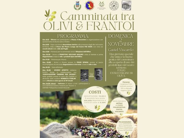 "Camminata tra olivi e frantoi", tutto pronto per la quinta edizione